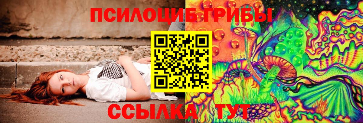 Псилоцибиновые грибы Psilocybe  Вход с VPN  Альметьевск  Галлюциногенные грибы GOLDEN TEACHER 