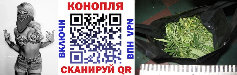 Марихуана OG Kush  блэк спрут вход  Альметьевск 